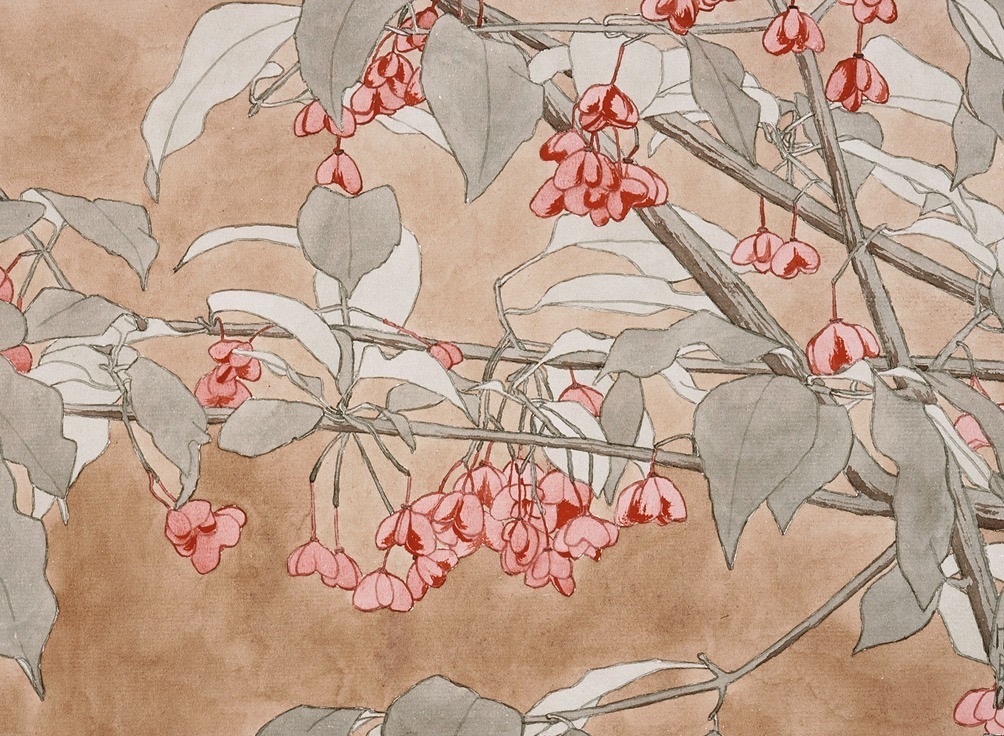 A watercolor of spindle berries — pink fruits suspended among sage-gray leaves.